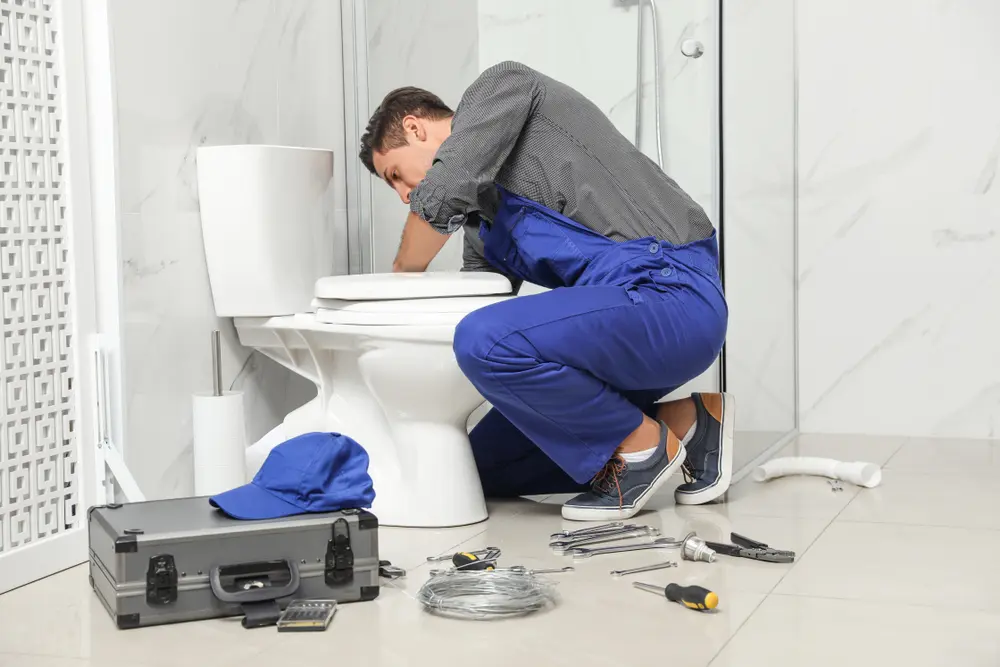 Toilet Installation in Quesada